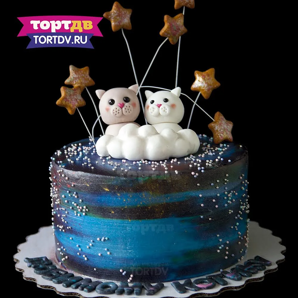 Космический торт с котиками