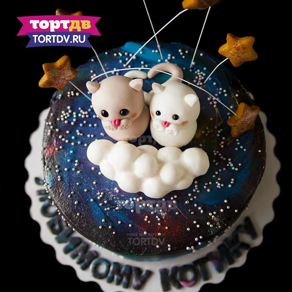 Космический торт с котиками