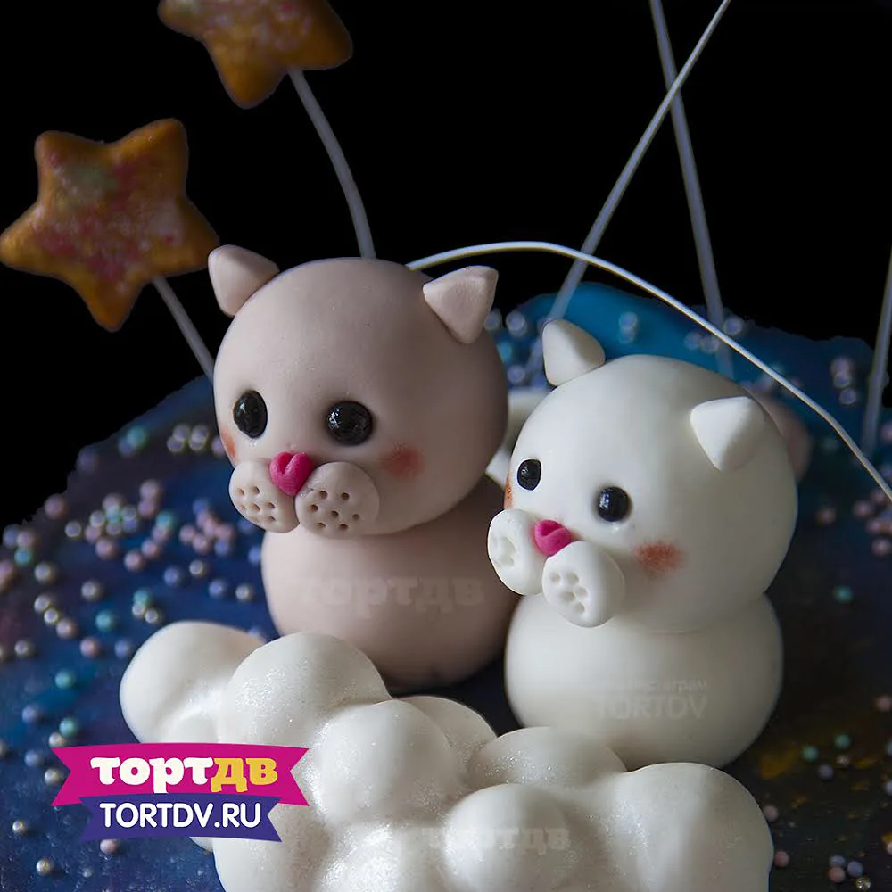 Космический торт с котиками
